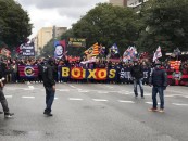 Barça, il ritorno del Bulldog